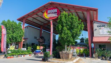 Moon Valley Nursery